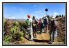 22/IMG_7136 kim site.jpg